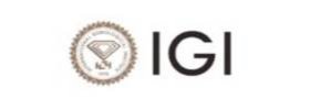 IGI logo