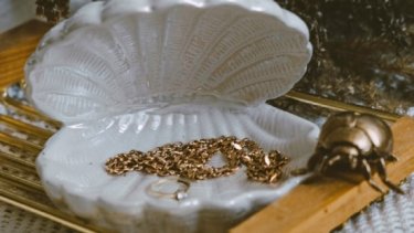 Jewellery pieces inside a shell