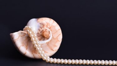Seashell with white pearls